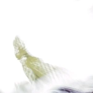 Meet your Posher, Al